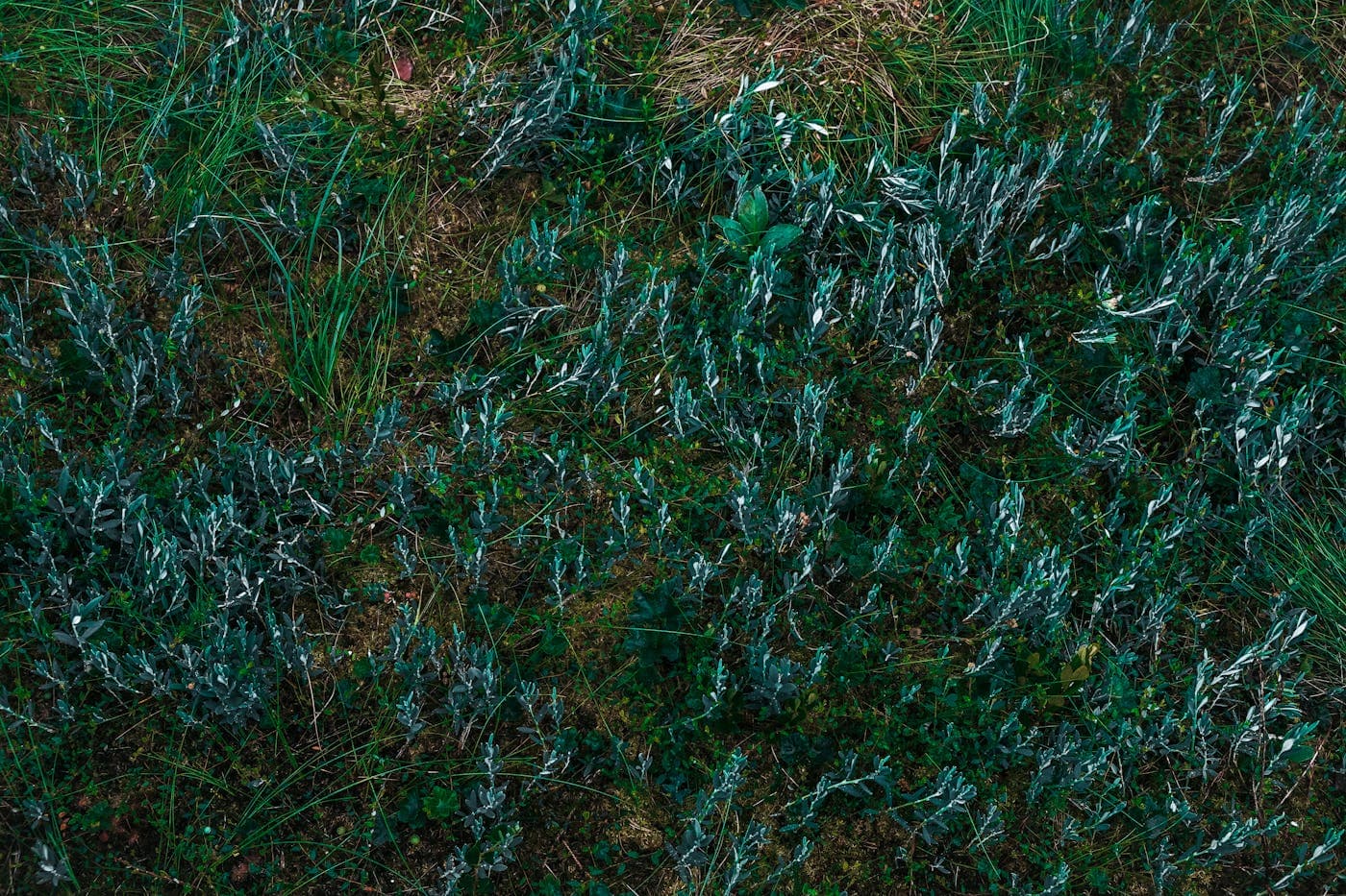 Animation keyframes showing subtle micro-movements and expression changes